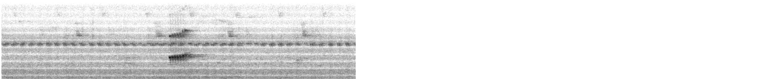 Scale-crested Pygmy-Tyrant - ML639325181