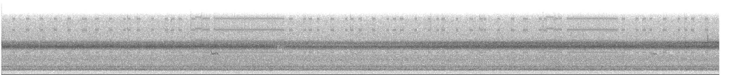 peep sp. - ML639326735