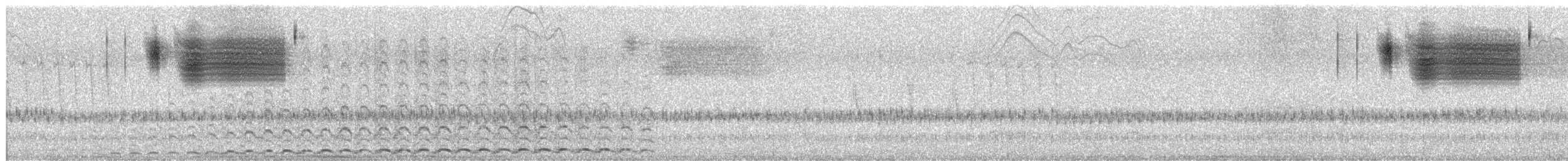 LeConte's Sparrow - ML639328774