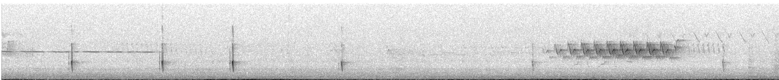 Black-backed Woodpecker - ML639336651