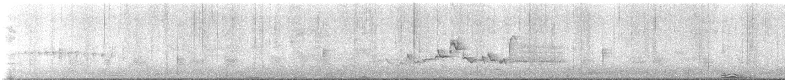 Warbling Vireo - ML639337466