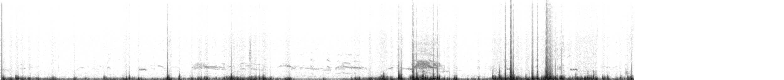 Yellow-billed Pintail - ML639342817