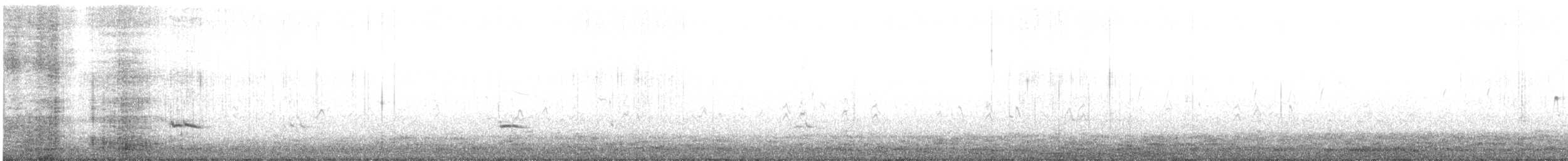 Bécassin roux - ML639347809
