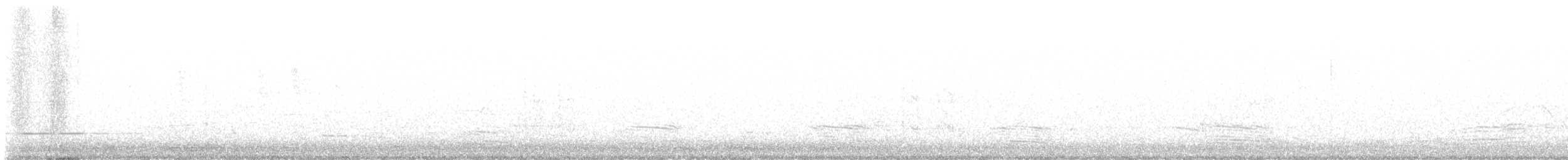 Australian Ringneck - ML639348201