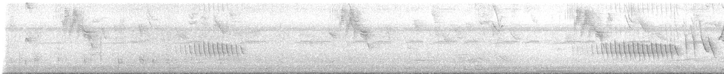 キタホオジロヒメウソ - ML639349048