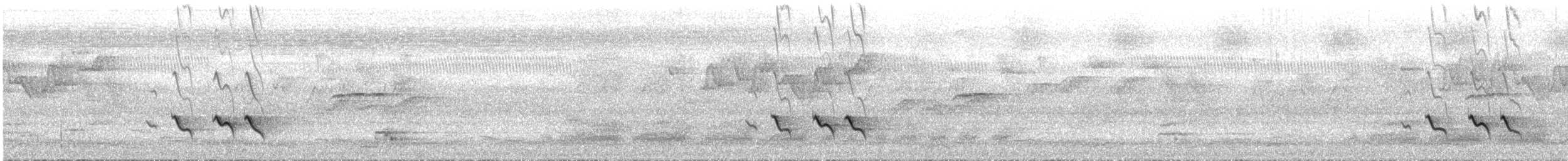 jungelprakttimal (validirostris) - ML639349860