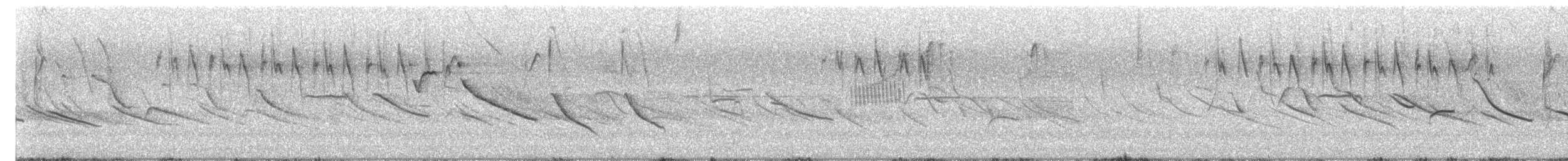 Cinereous Conebill - ML639350055