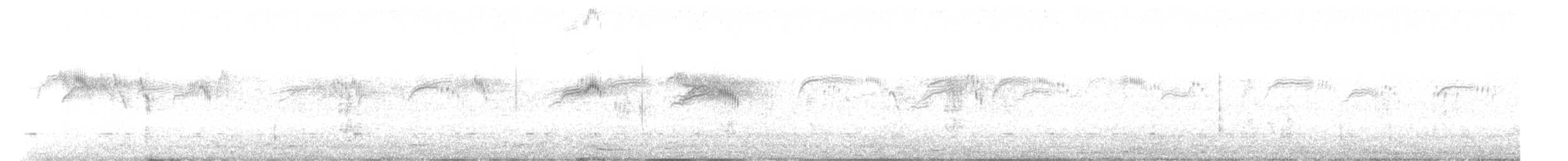 Common Swift - ML639350203