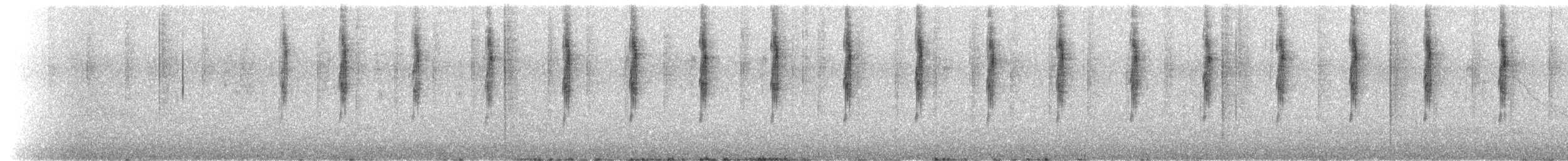 Glanz-Veilchenohrkolibri - ML639351092