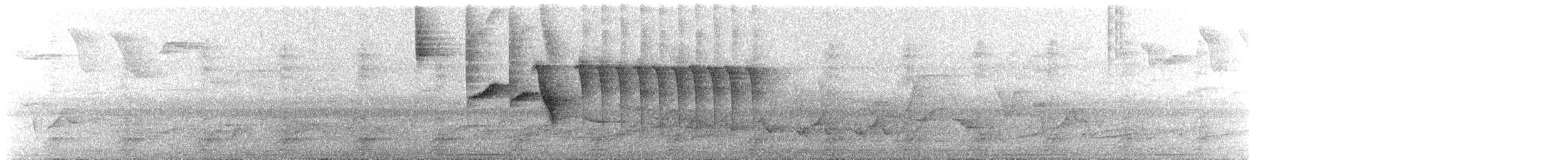 Gray-crowned Ground-Sparrow - ML639351504