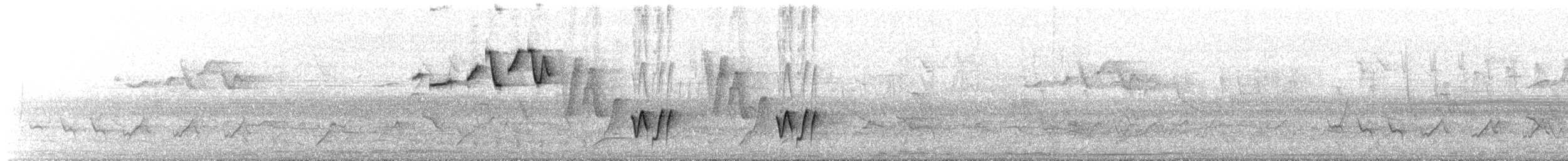 Cabanis's Wren - ML639351514