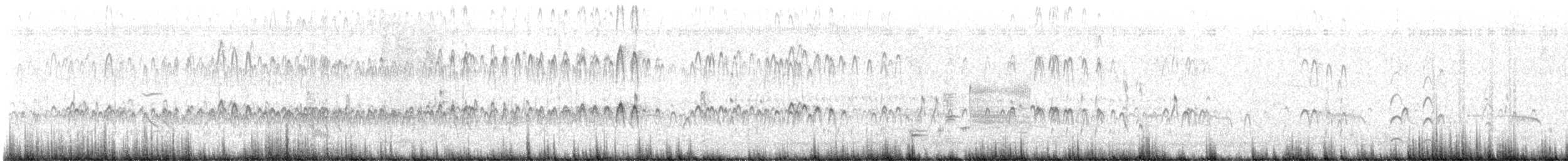 Long-billed Dowitcher - ML639353111
