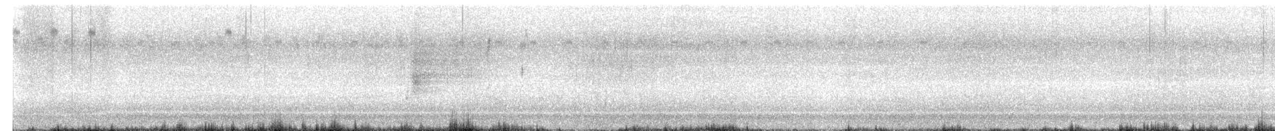 ネルソントゲオヒメドリ（subvirgata） - ML639354249