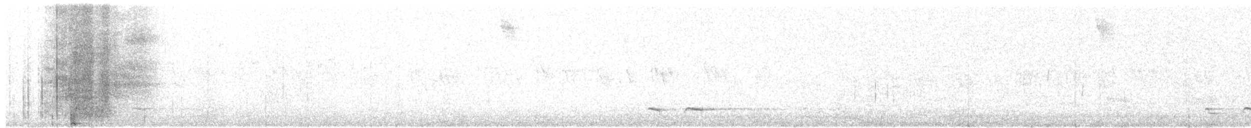 Tawny Antpitta - ML639354371