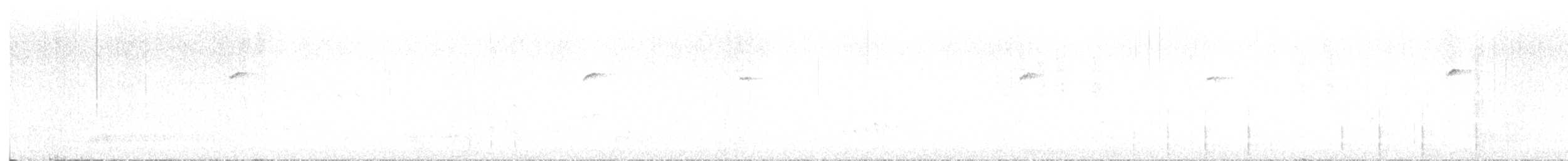 hummingbird sp. - ML639355776