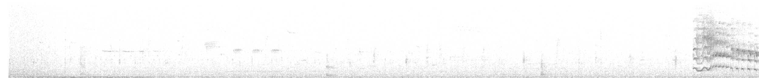 Polluela Sora - ML639357793