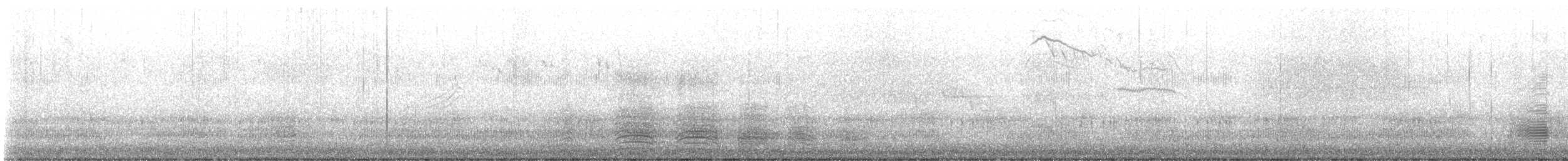 Pacific Black Duck - ML639359588
