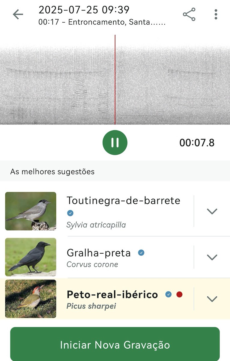 Animals - ML639361347