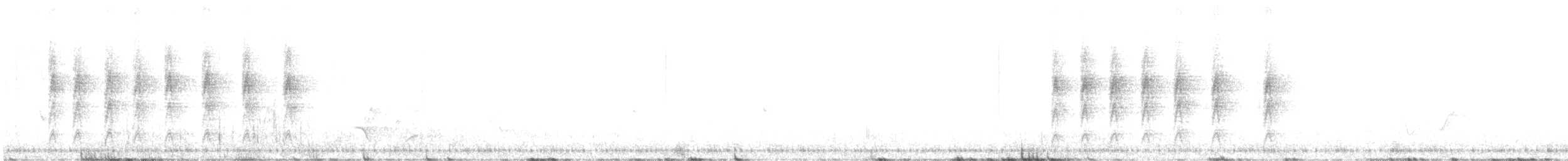 White-eared Monarch - ML639362526