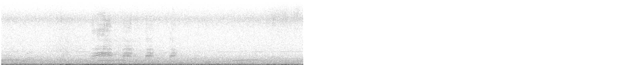 Mallard - ML639363157