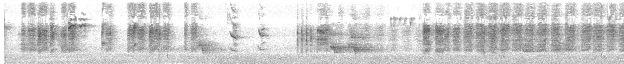 Tasmanian Scrubwren - ML639363931