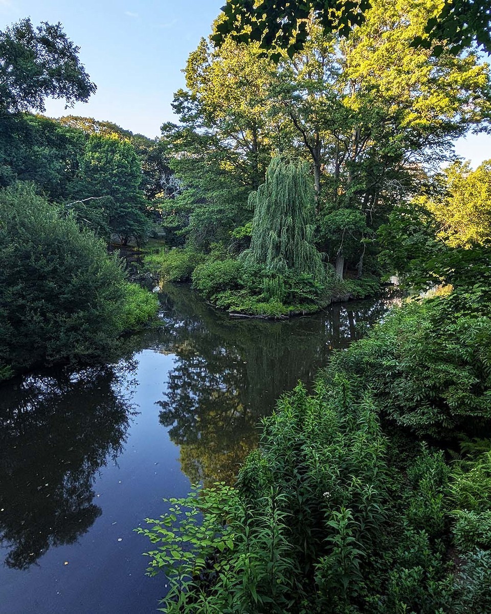 Not specified - Allie Kleber