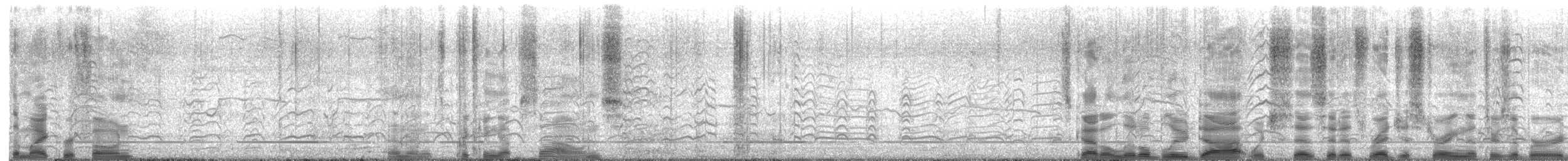 Antxeta mokogorri amerikarra - ML639368059