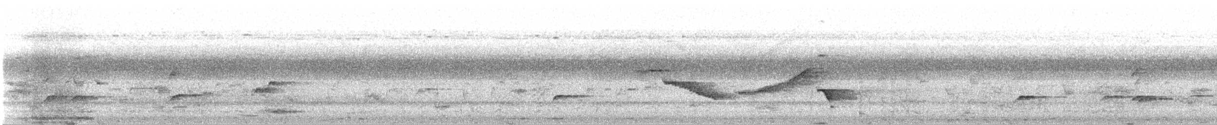 Southern Hill Myna - ML639372159