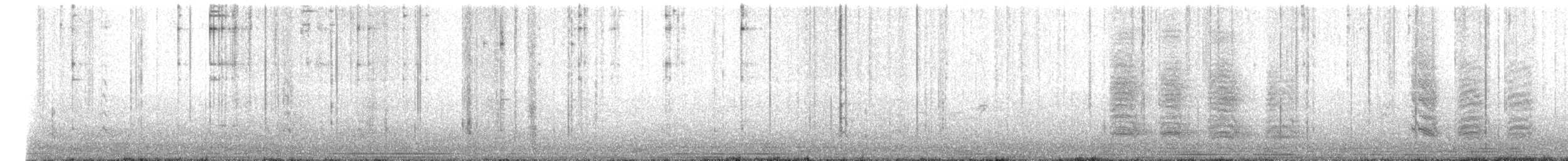 Burrowing Parakeet - ML639372604