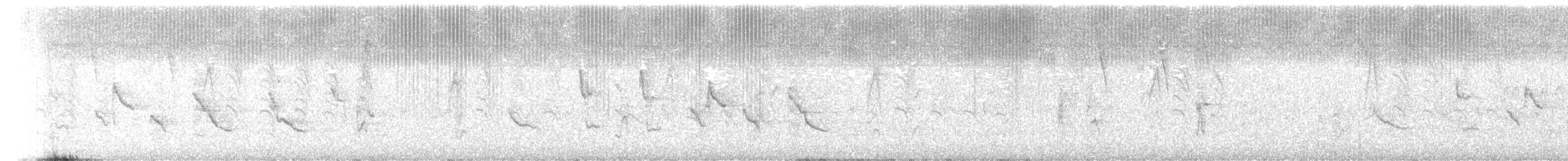 Рисоїд нікарагуанський - ML639375381