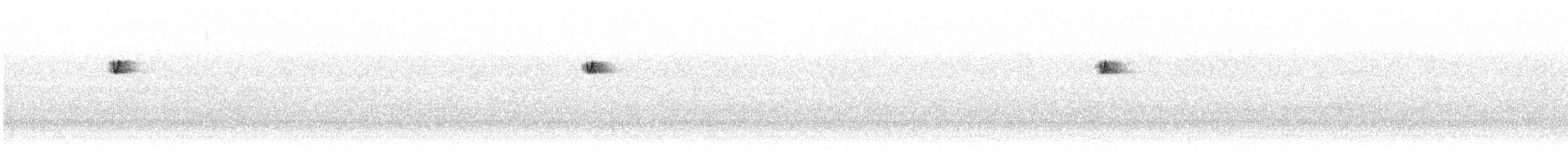 Western Flycatcher (Pacific-slope) - ML639376062