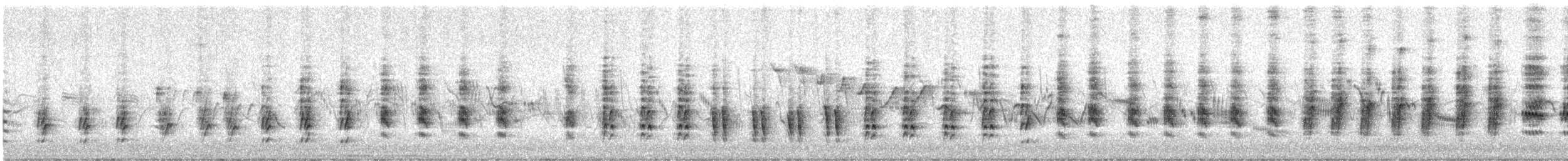 Common Reed Warbler - ML639377696