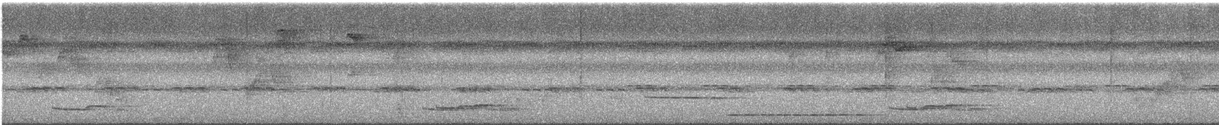 Long-tailed Manakin - ML639384709