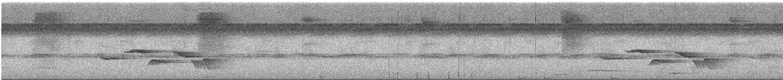 Troglodyte à poitrine tachetée - ML639384715