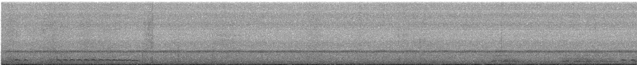 Western Screech-Owl - ML639385883