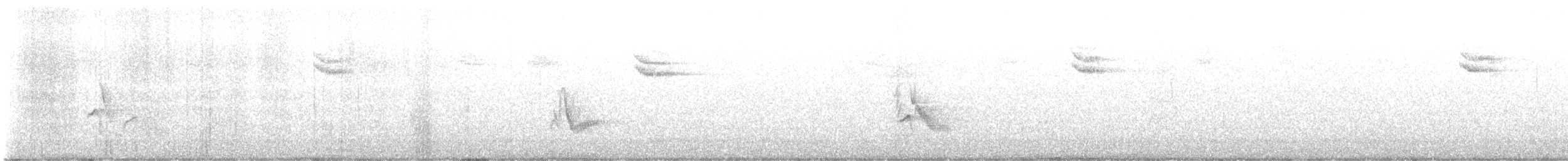 Plumbeous Vireo - ML639386029