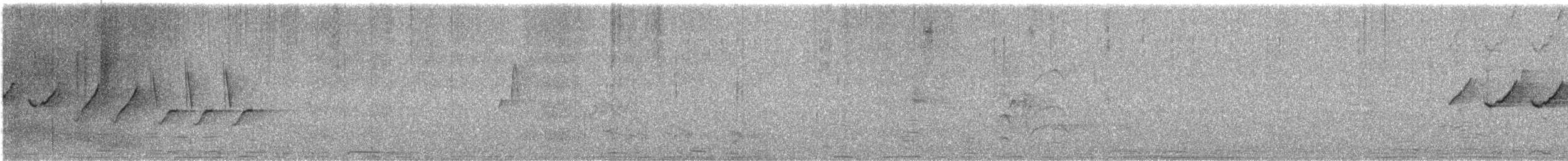 White-winged Dove - ML639386539