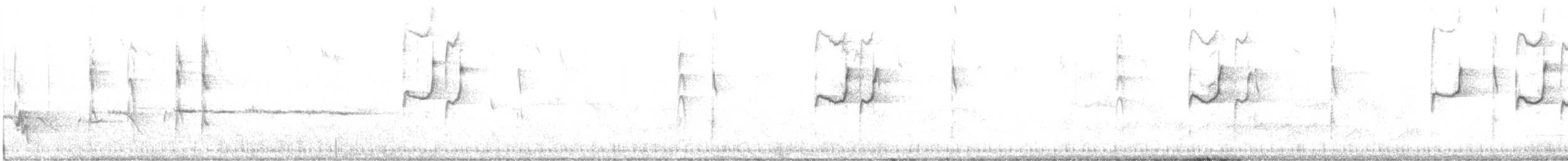 Varied Sittella (White-headed) - ML639388352