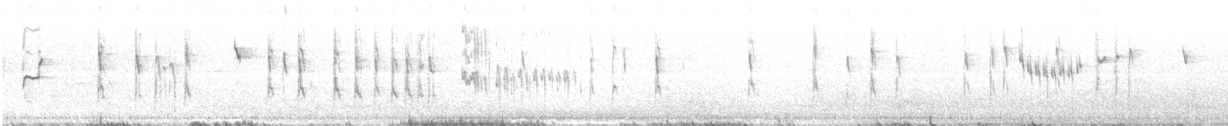 Varied Sittella (White-headed) - ML639388355