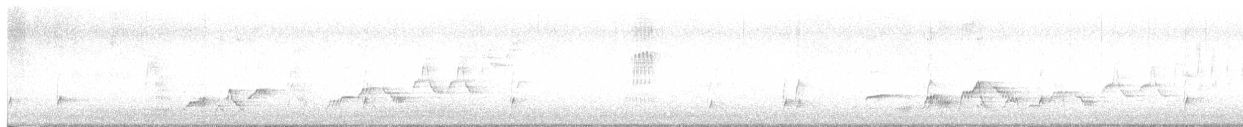 Swainson's Thrush - ML639390315