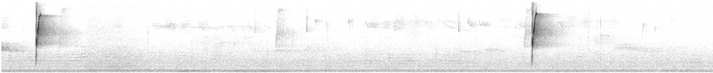 Tamia del pino giallo - ML639390872