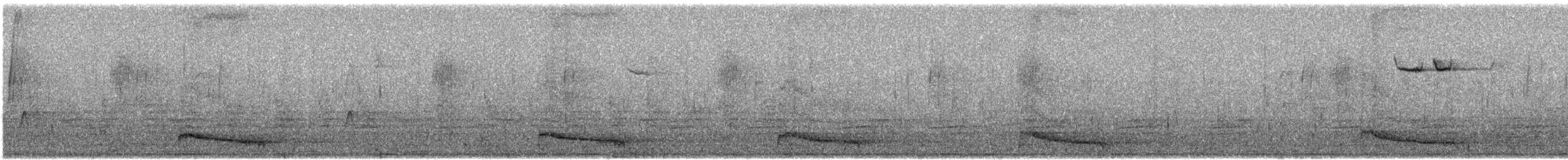 Douglas' Squirrel - ML639390964