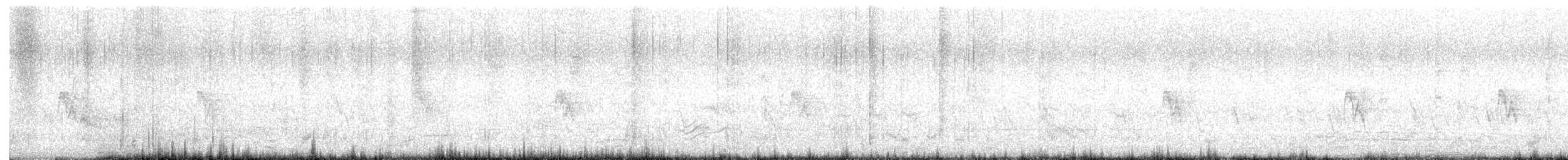 Forster's Tern - ML639392748