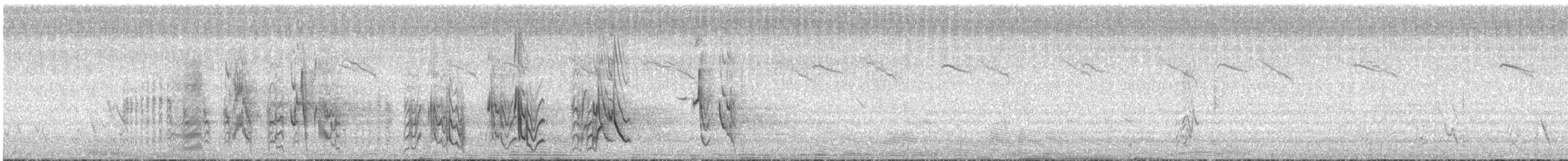 White-browed Sparrow-Weaver - ML639393903