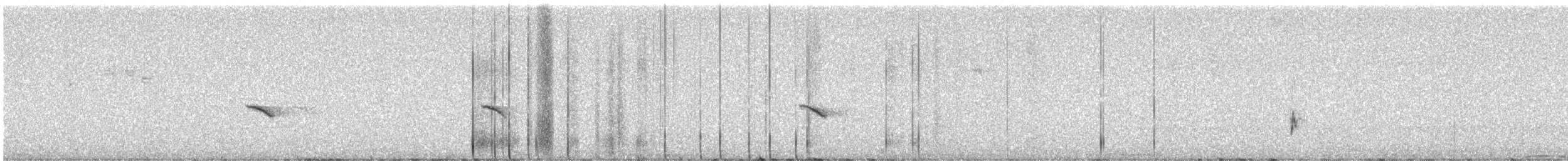 Olive Warbler - ML639394192