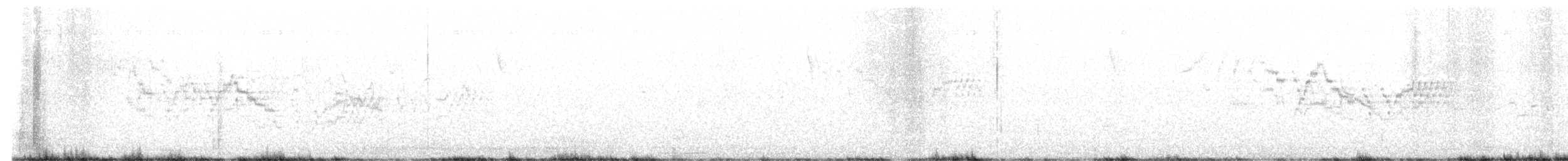 Bicknell's Thrush - ML639394614