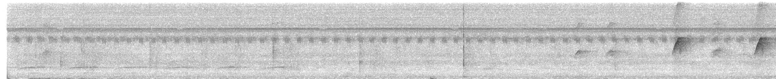 Olive-faced Flatbill - ML639395875