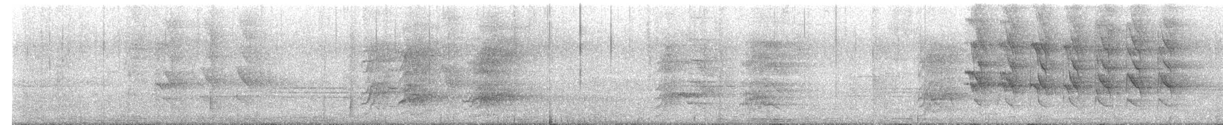 オオホンセイインコ - ML639397482