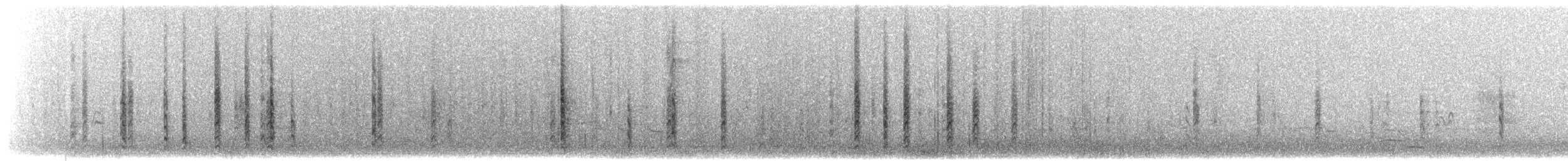 Brewer's Blackbird - ML639398333