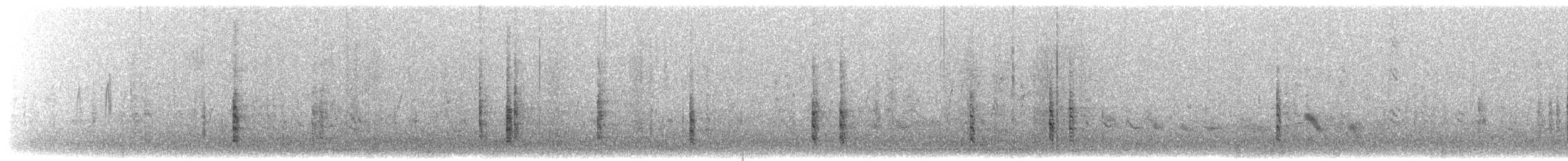 Brewer's Blackbird - ML639398334